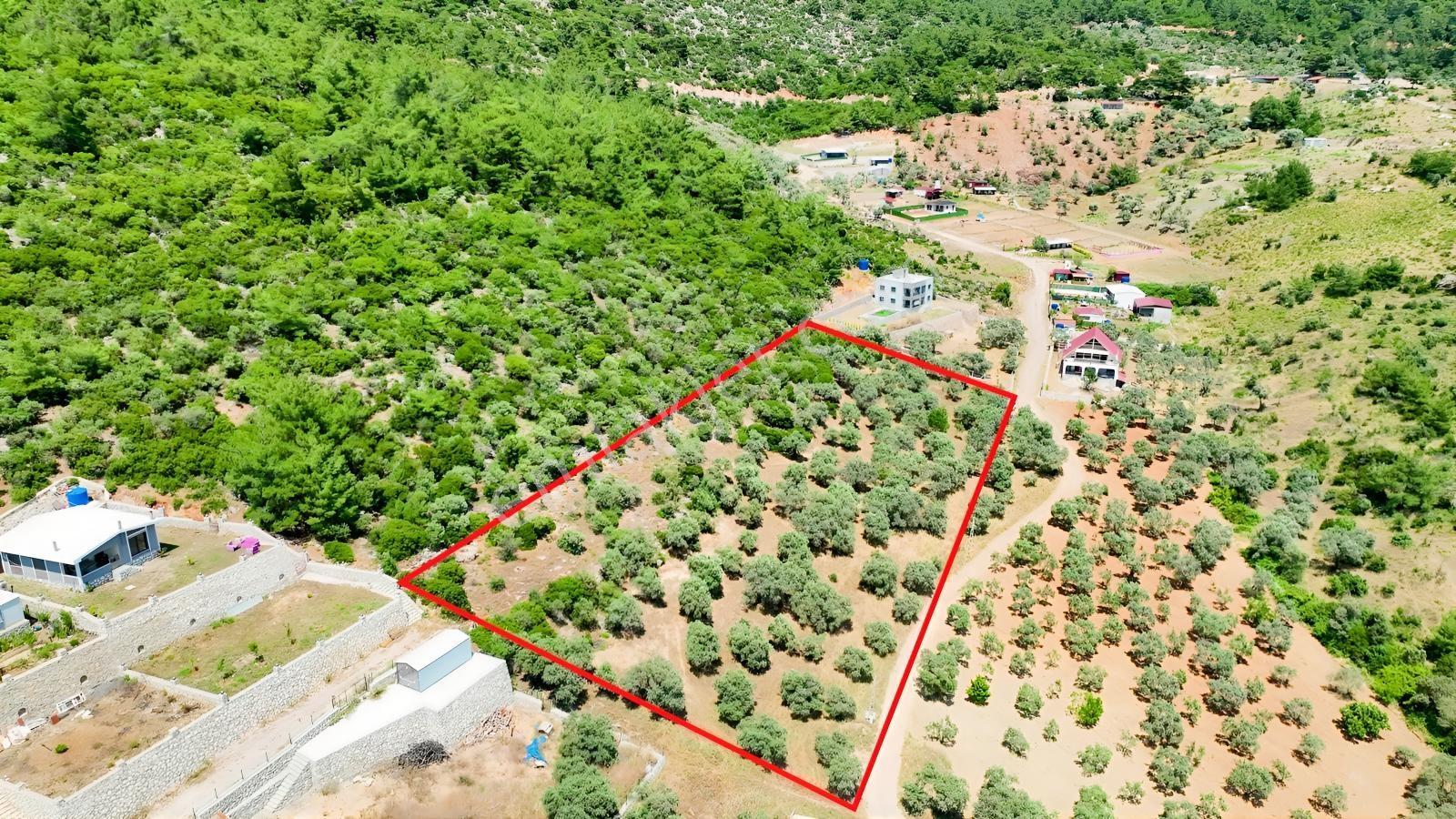 İzmir Buca Kırklarda 8.560 M² Alanlı, Yola 175 M Cepheli Arsa — fotoğraf 20