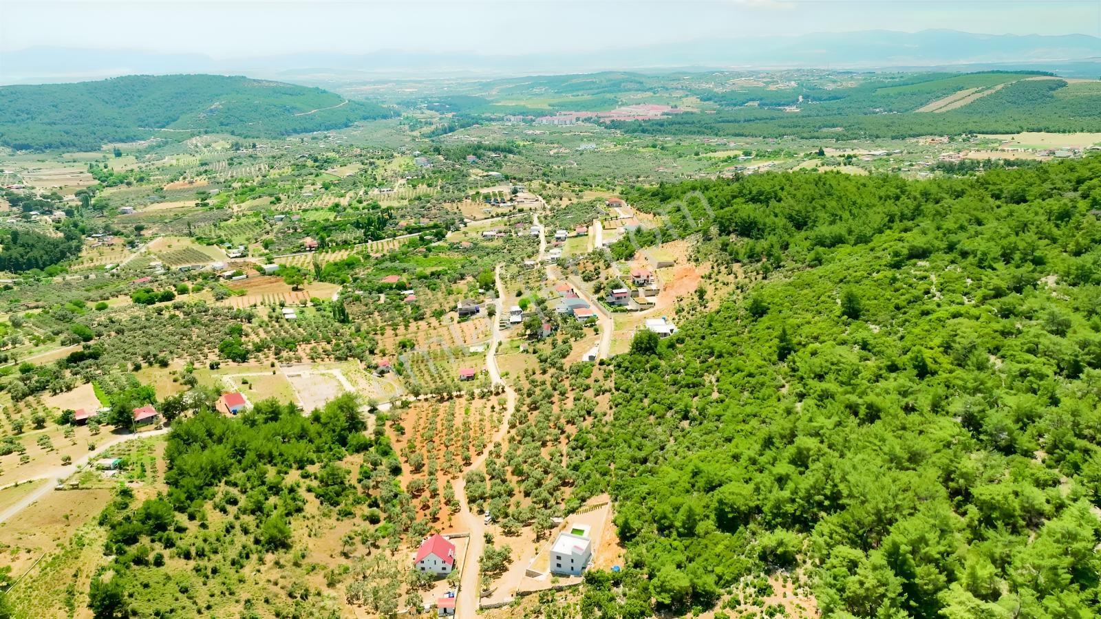 İzmir Buca Kırklarda 8.560 M² Alanlı, Yola 175 M Cepheli Arsa — fotoğraf 25