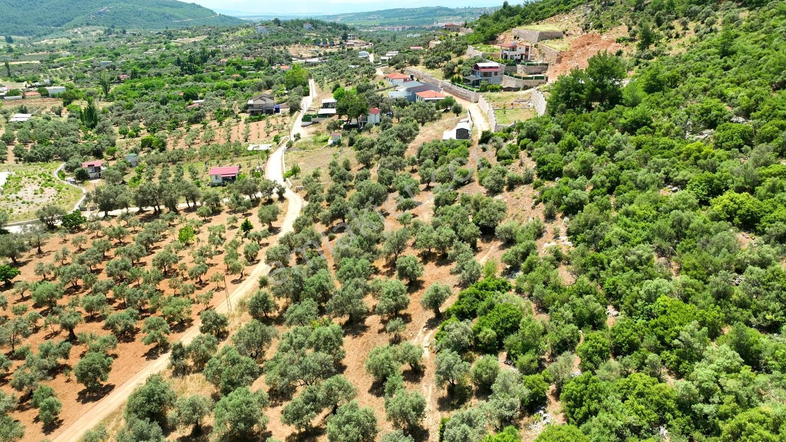 İzmir Buca Kırklarda 8.560 M² Alanlı, Yola 175 M Cepheli Arsa — fotoğraf 29