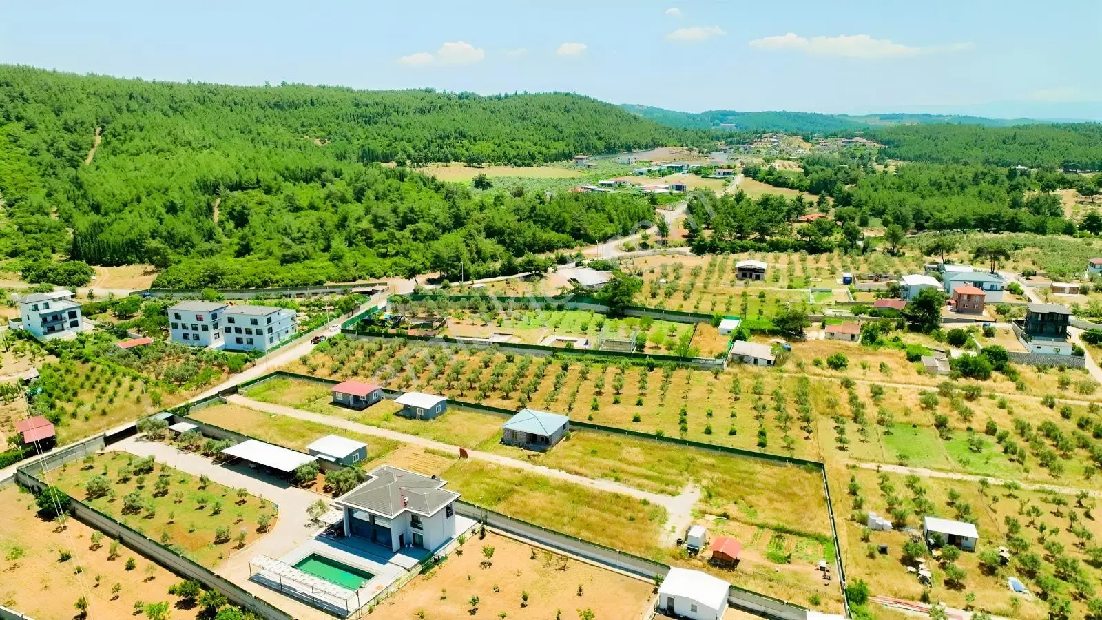 Buca Kaynaklar Söğüt Mevki 5 Dönüm Zeytinlik — fotoğraf 26