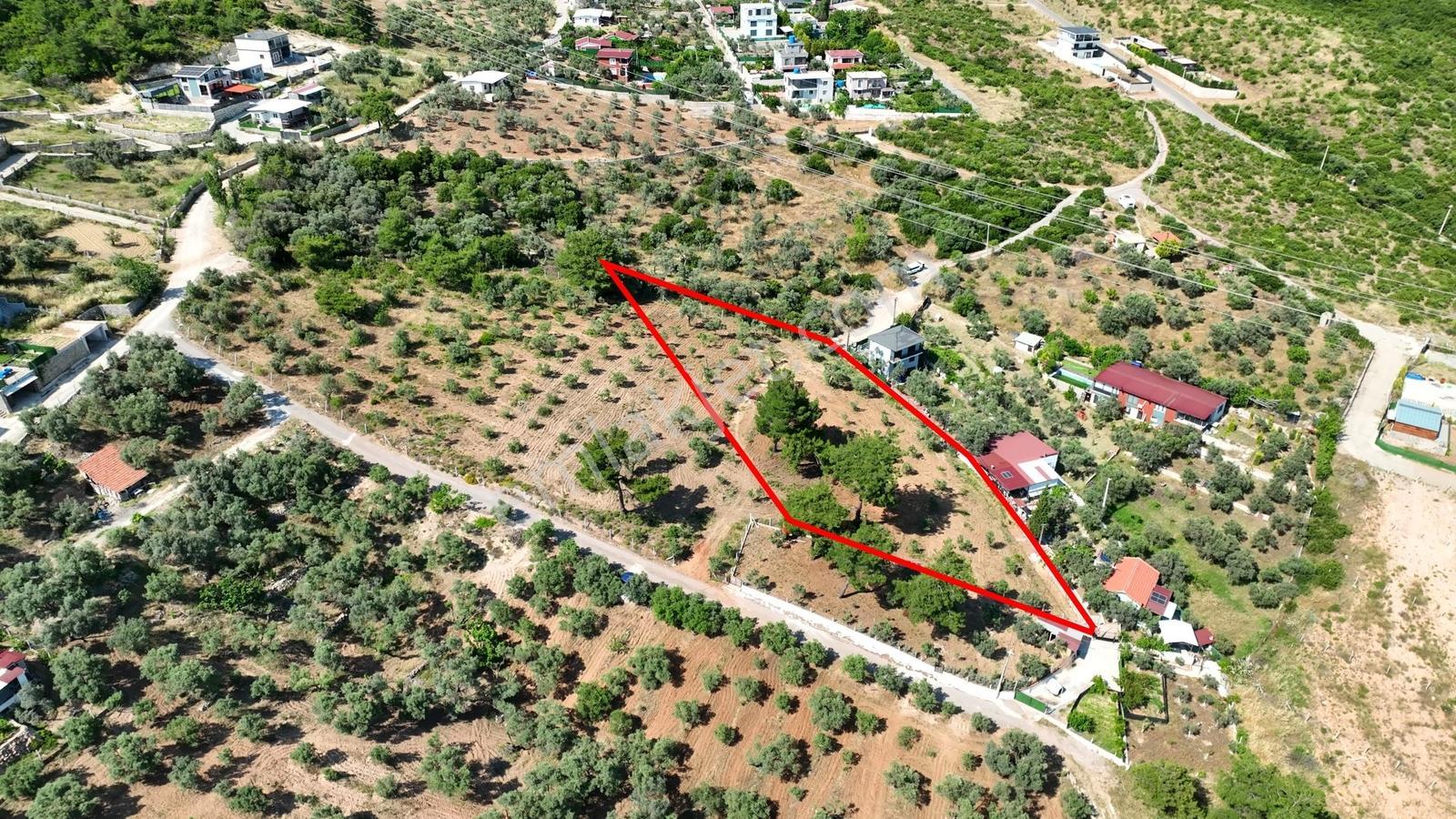 İzmir Buca Karacaağaçta 7.500 M² Verimli Müstakil Arazi