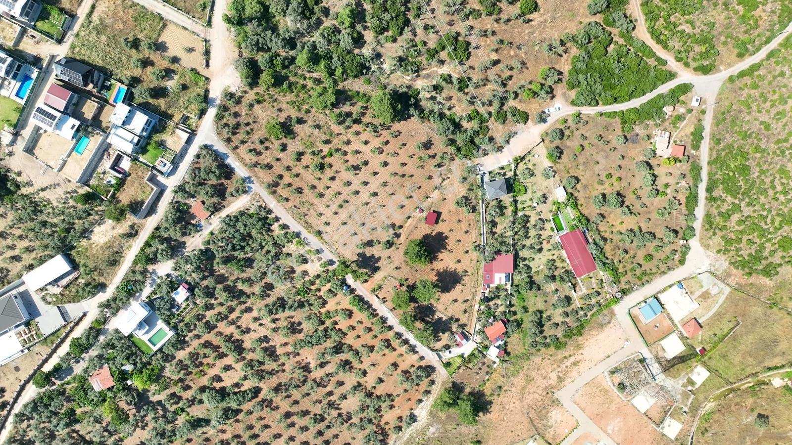 İzmir Buca Karacaağaçta 7.500 M² Verimli Müstakil Arazi — fotoğraf 2