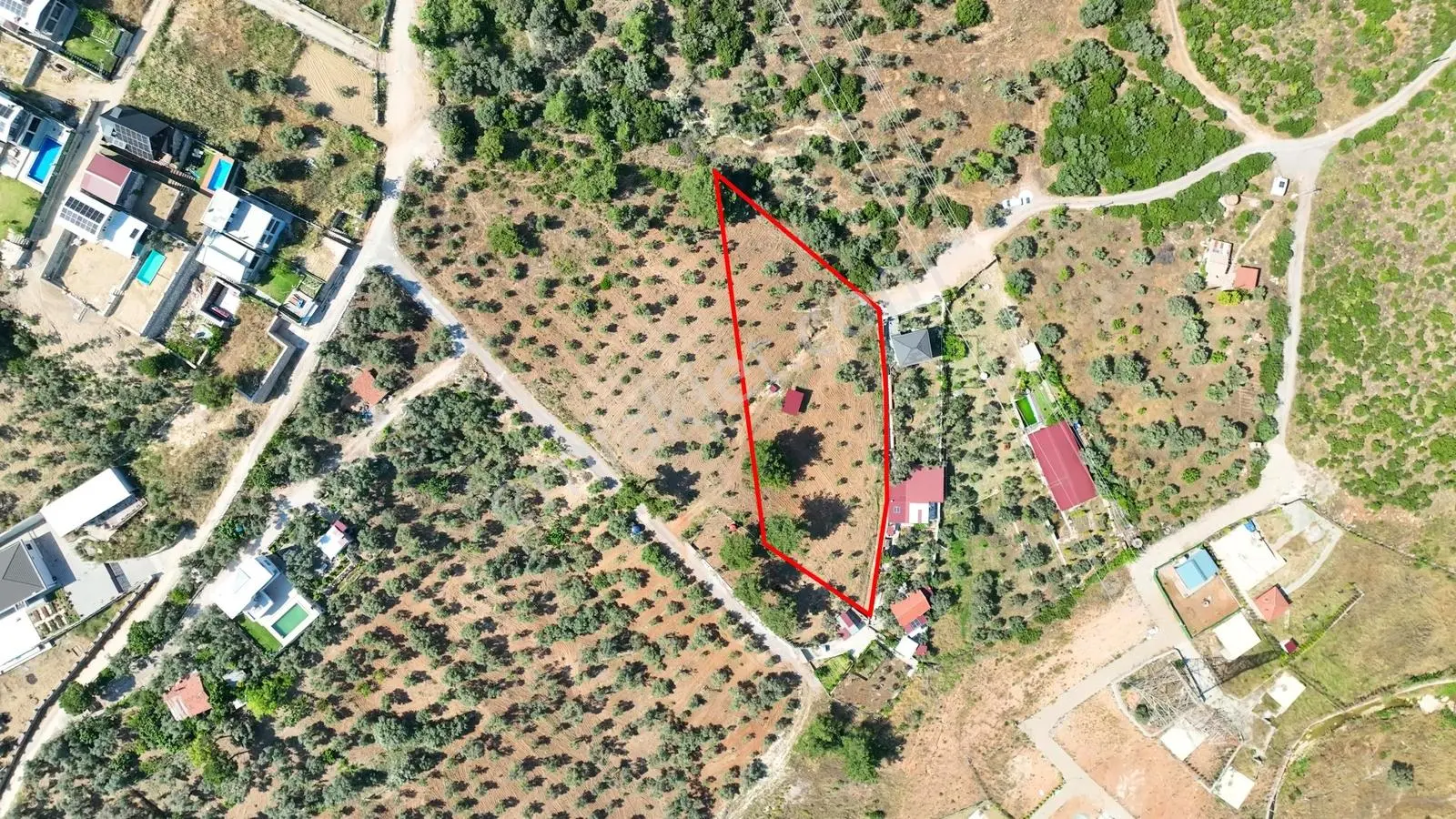 İzmir Buca Karacaağaçta 7.500 M² Verimli Müstakil Arazi — fotoğraf 3