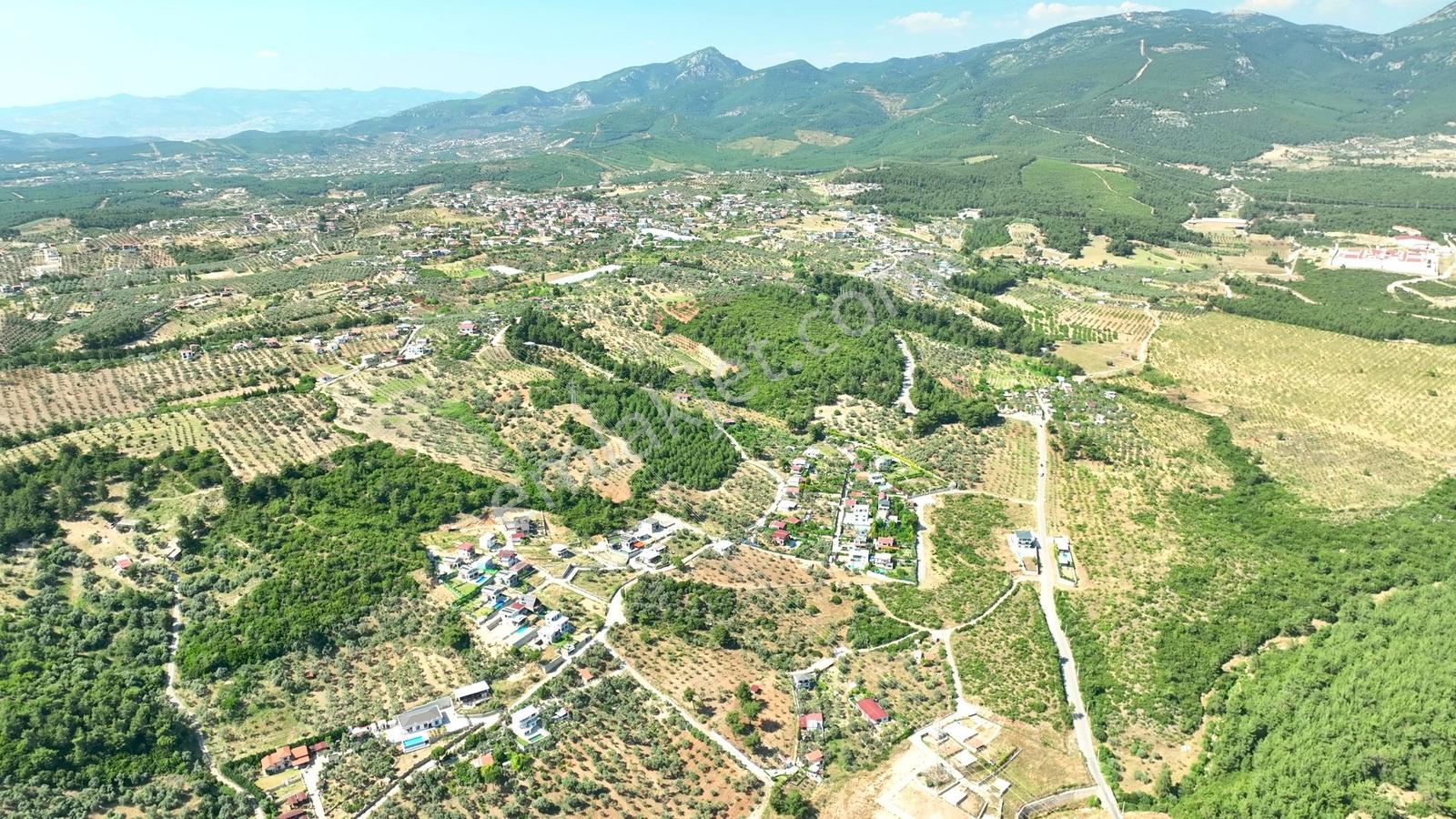 İzmir Buca Karacaağaçta 7.500 M² Verimli Müstakil Arazi — fotoğraf 4