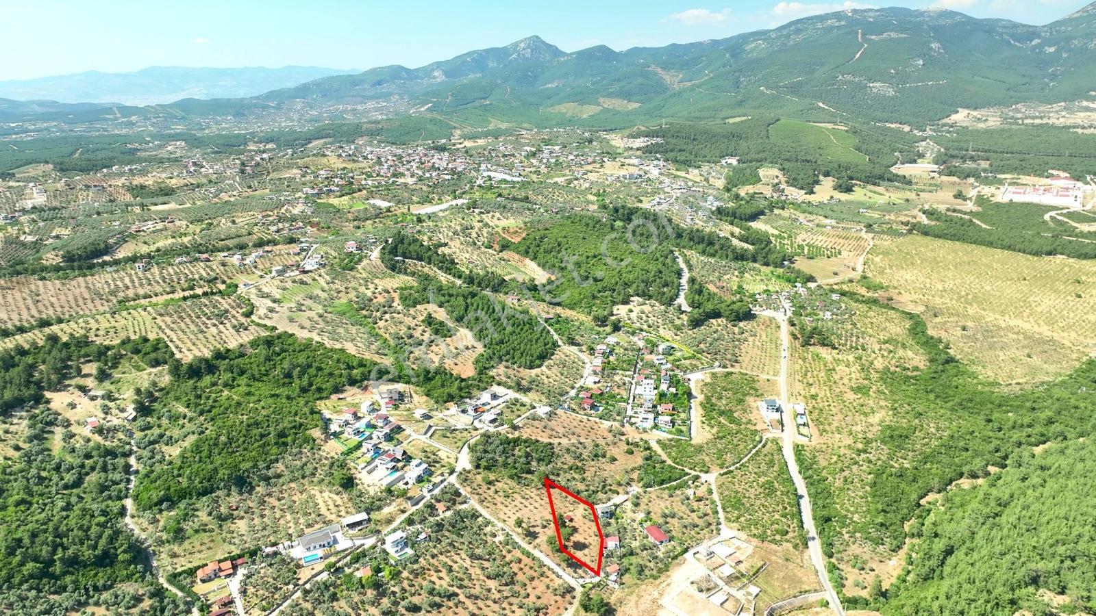 İzmir Buca Karacaağaçta 7.500 M² Verimli Müstakil Arazi — fotoğraf 5