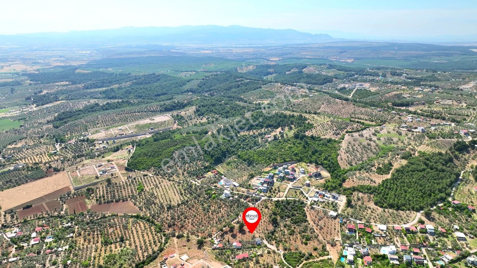 İzmir Buca Karacaağaçta 7.500 M² Verimli Müstakil Arazi — fotoğraf 9