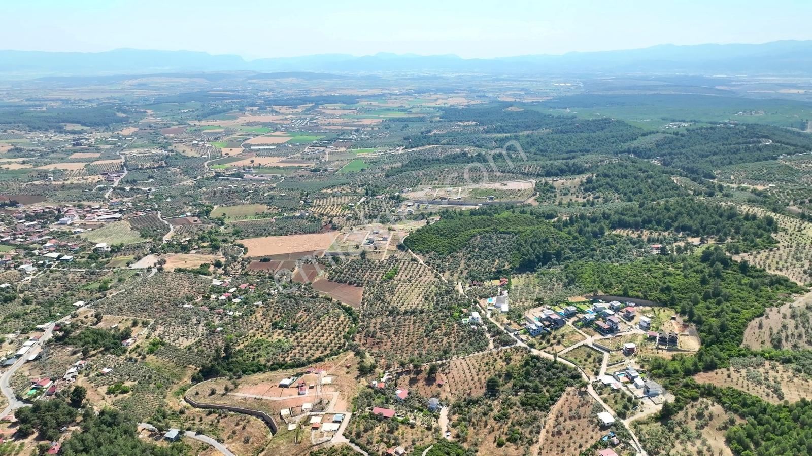 İzmir Buca Karacaağaçta 7.500 M² Verimli Müstakil Arazi — fotoğraf 10