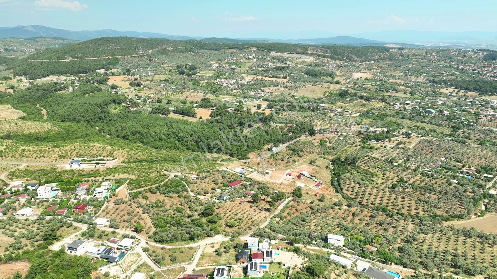 İzmir Buca Karacaağaçta 7.500 M² Verimli Müstakil Arazi — fotoğraf 16