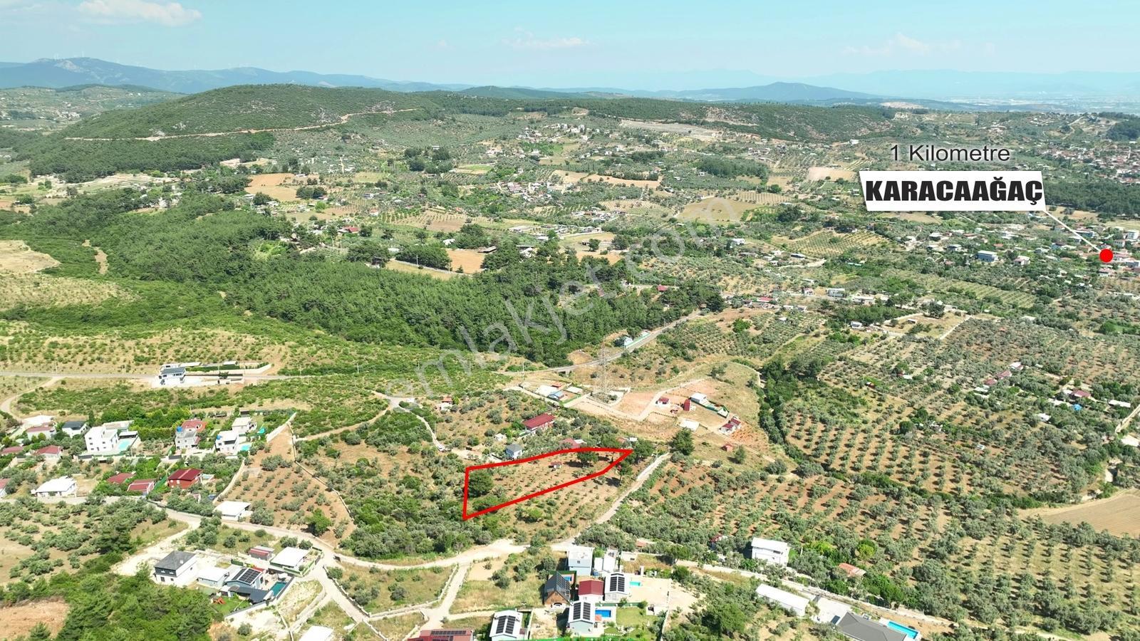 İzmir Buca Karacaağaçta 7.500 M² Verimli Müstakil Arazi — fotoğraf 17