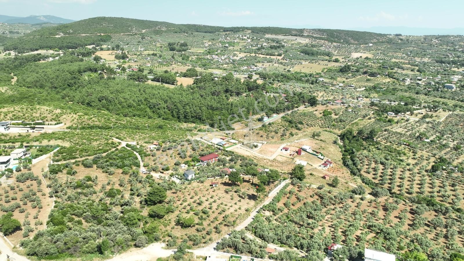 İzmir Buca Karacaağaçta 7.500 M² Verimli Müstakil Arazi — fotoğraf 18