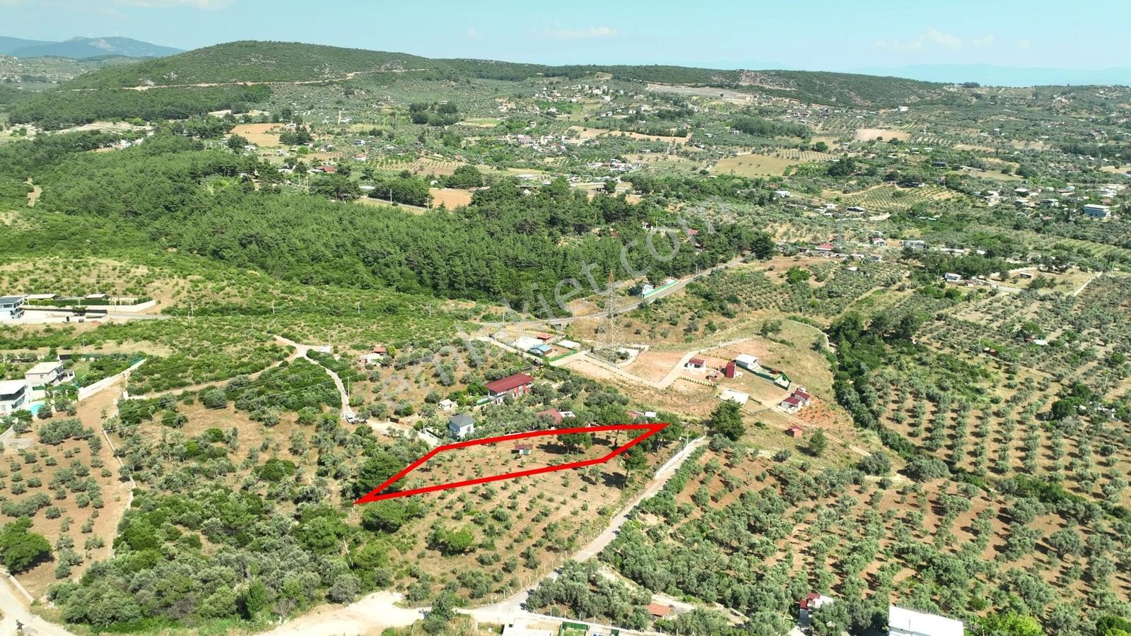 İzmir Buca Karacaağaçta 7.500 M² Verimli Müstakil Arazi — fotoğraf 19