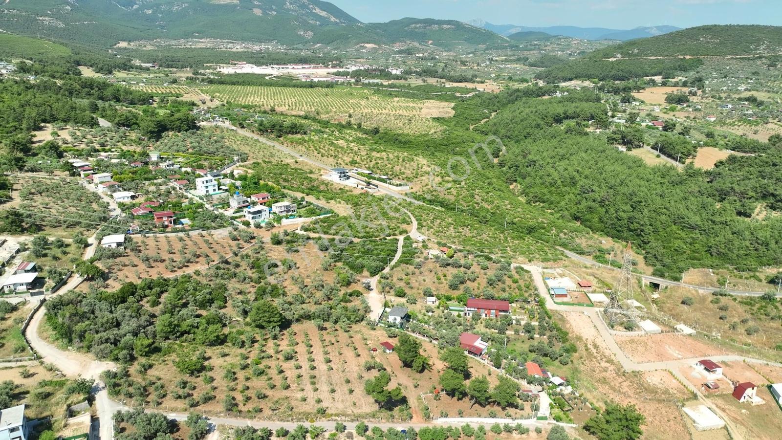 İzmir Buca Karacaağaçta 7.500 M² Verimli Müstakil Arazi — fotoğraf 20