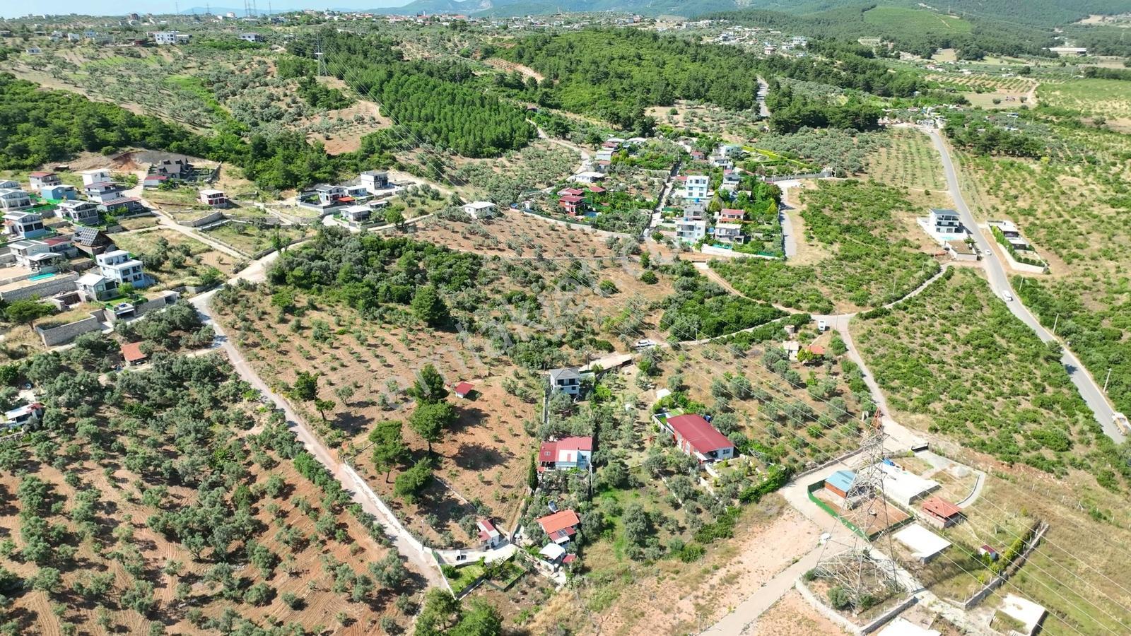 İzmir Buca Karacaağaçta 7.500 M² Verimli Müstakil Arazi — fotoğraf 22