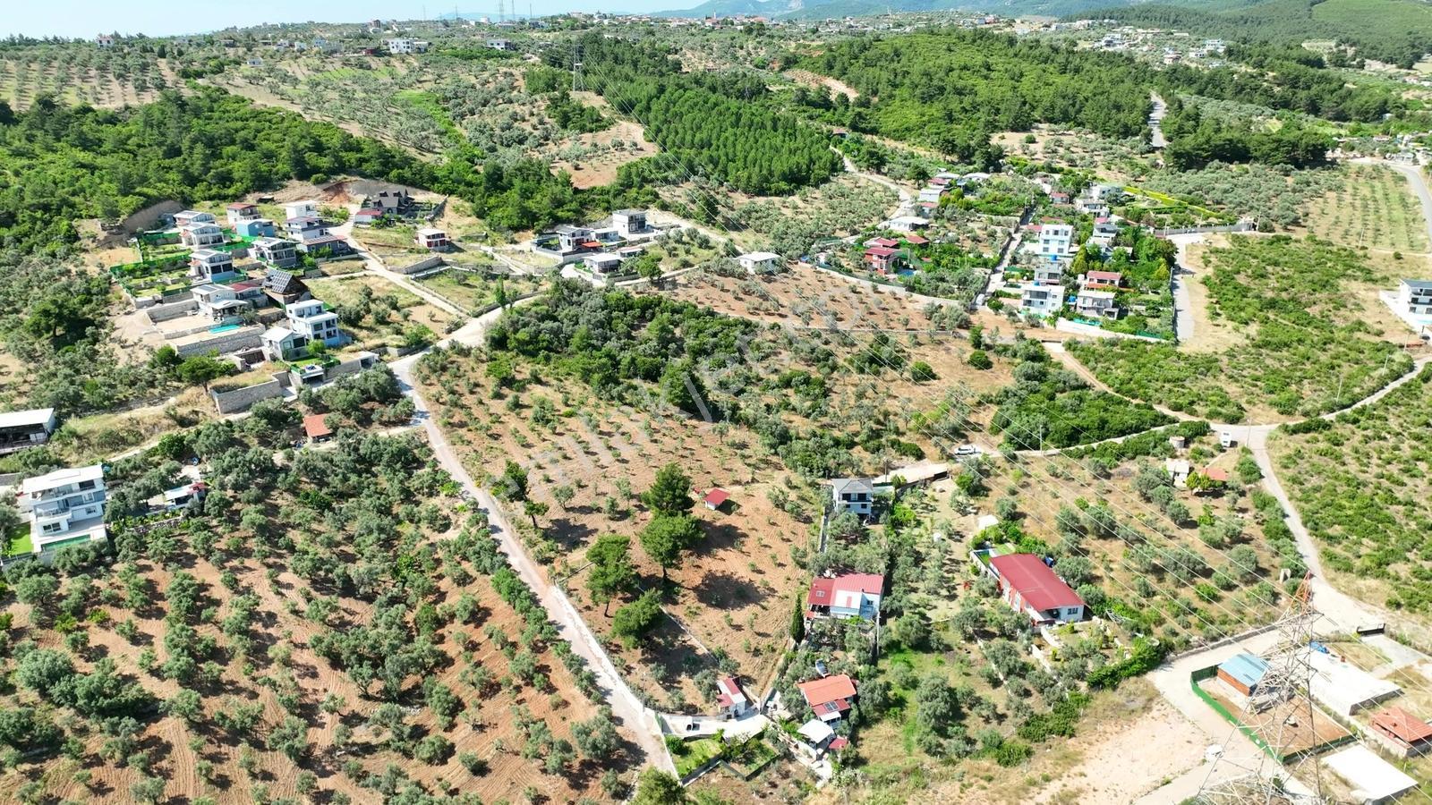 İzmir Buca Karacaağaçta 7.500 M² Verimli Müstakil Arazi — fotoğraf 23
