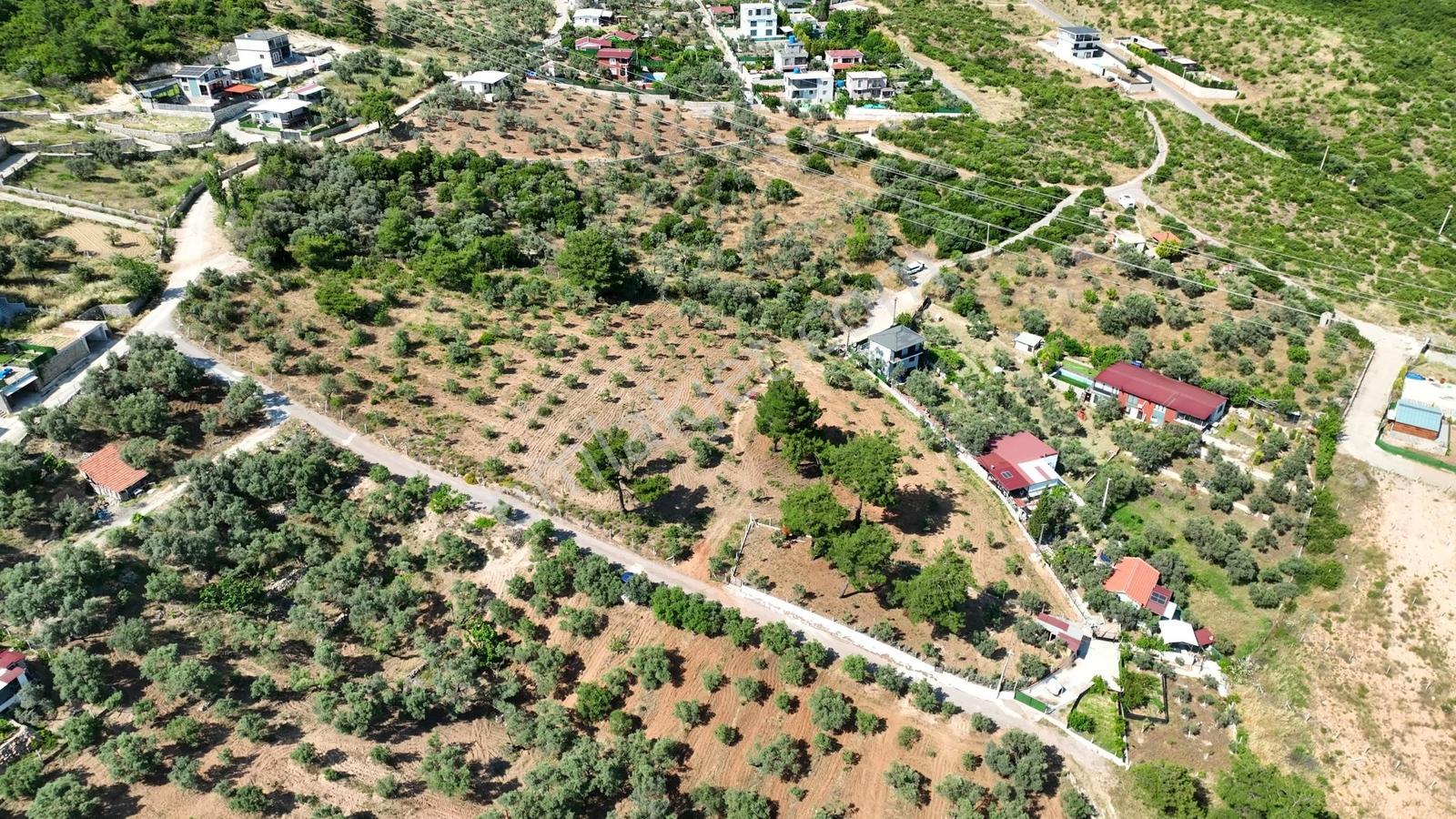 İzmir Buca Karacaağaçta 7.500 M² Verimli Müstakil Arazi — fotoğraf 24