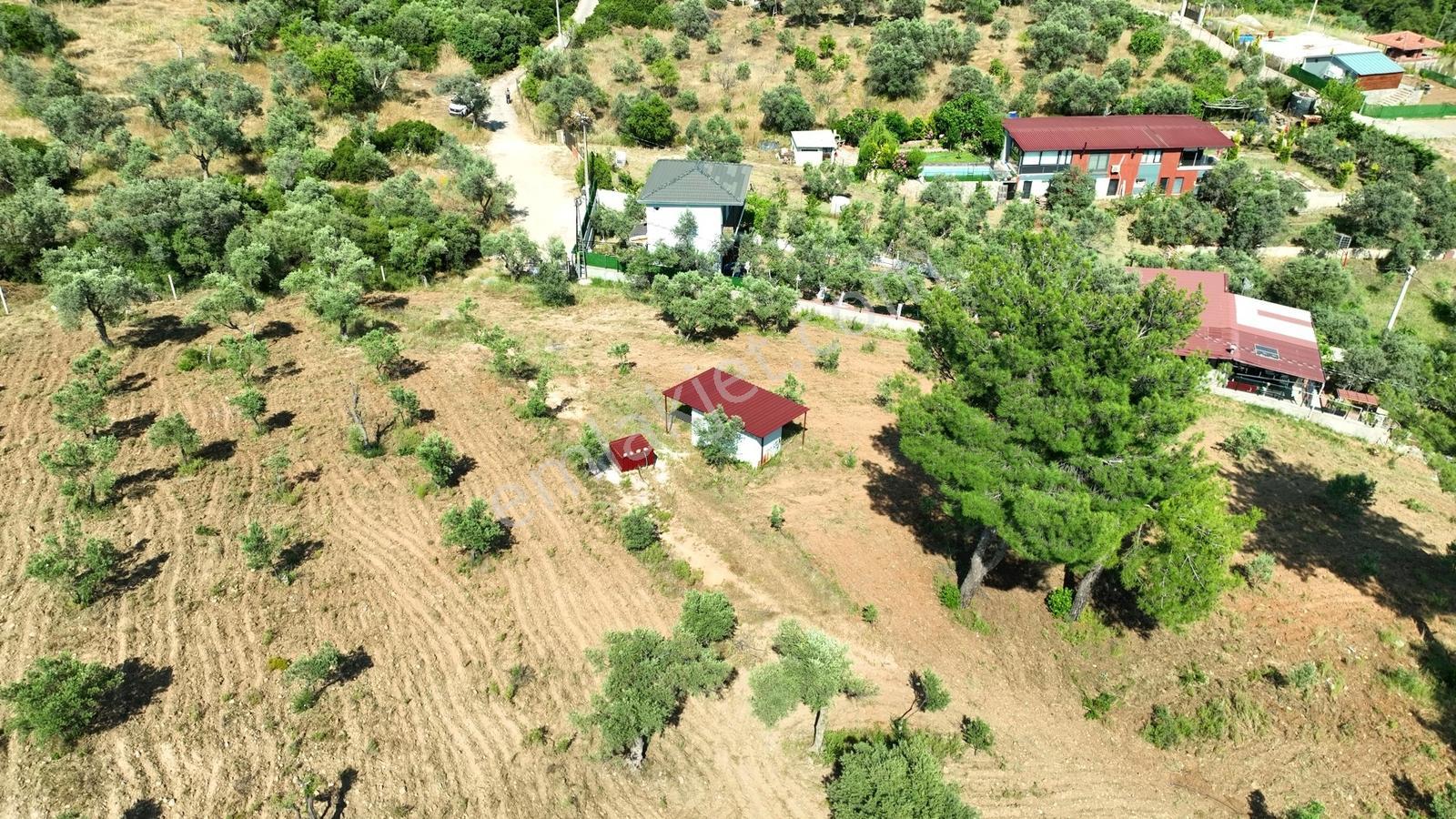 İzmir Buca Karacaağaçta 7.500 M² Verimli Müstakil Arazi — fotoğraf 25