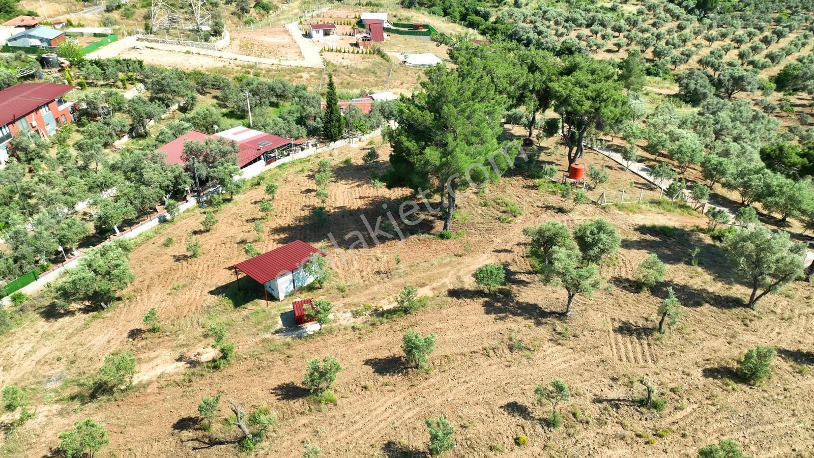 İzmir Buca Karacaağaçta 7.500 M² Verimli Müstakil Arazi — fotoğraf 26