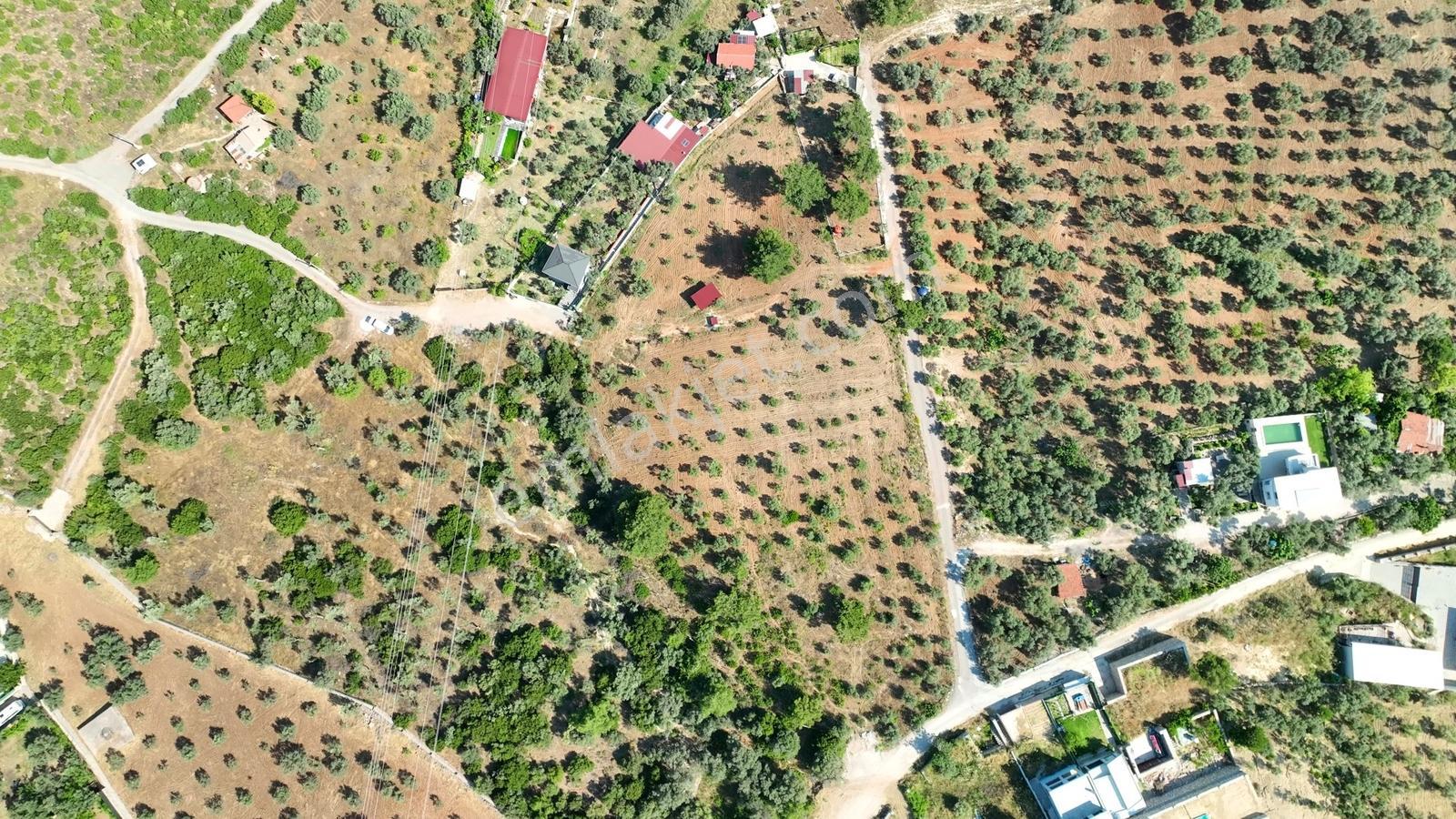 İzmir Buca Karacaağaçta 7.500 M² Verimli Müstakil Arazi — fotoğraf 27