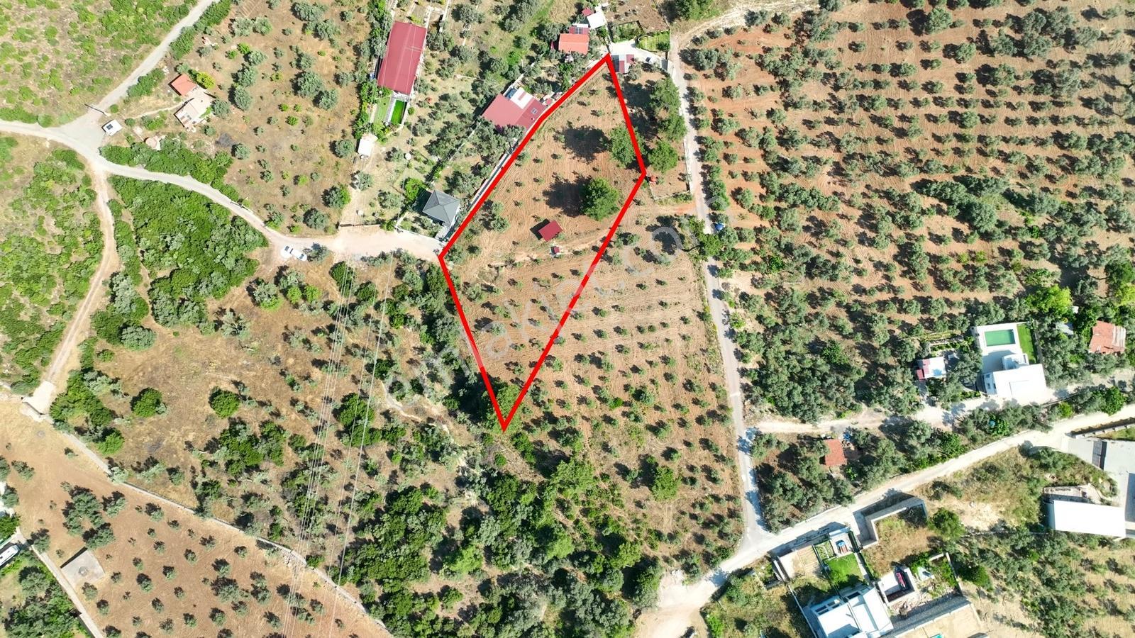 İzmir Buca Karacaağaçta 7.500 M² Verimli Müstakil Arazi — fotoğraf 28