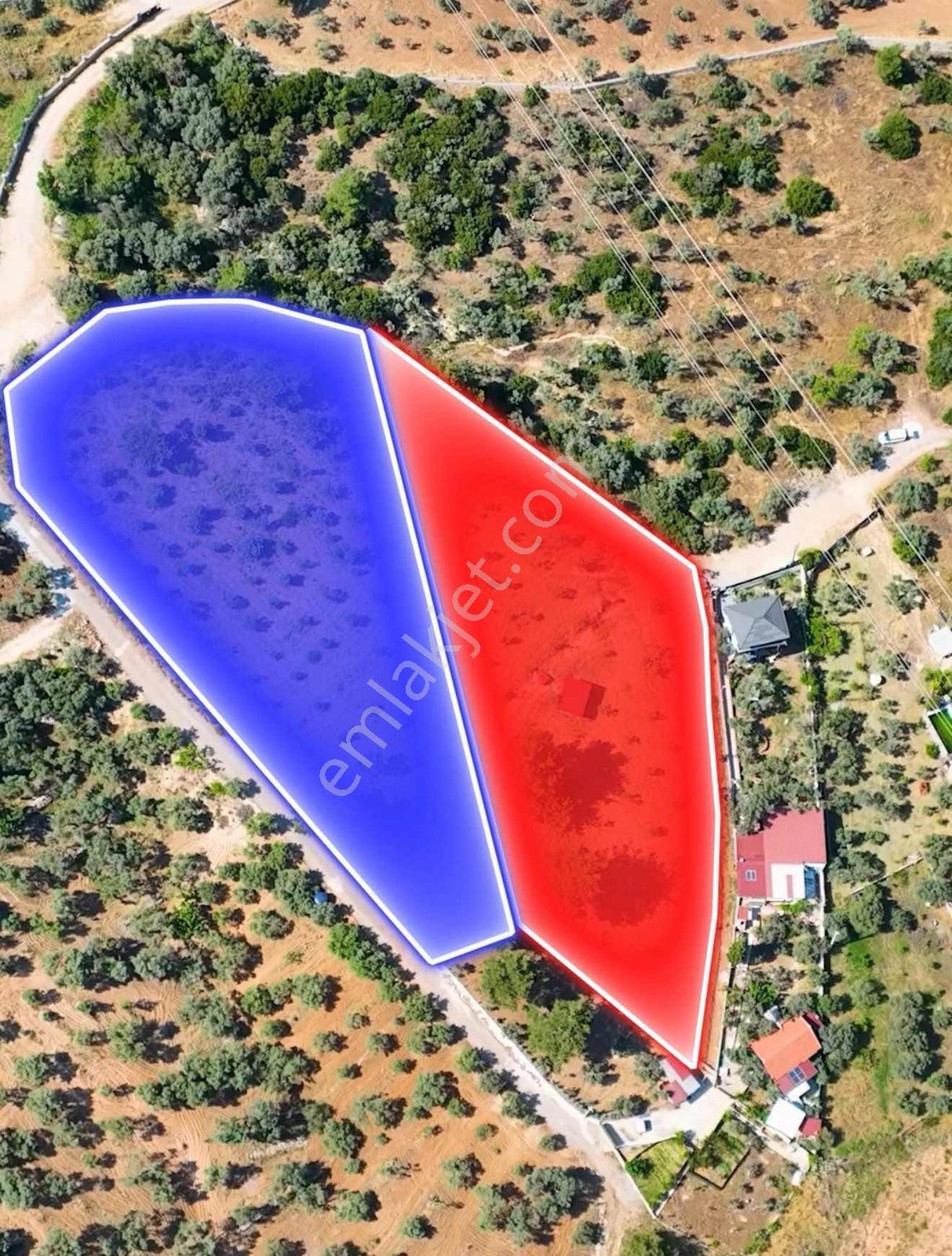 İzmir Buca Karacaağaçta 7.500 M² Verimli Müstakil Arazi — fotoğraf 29