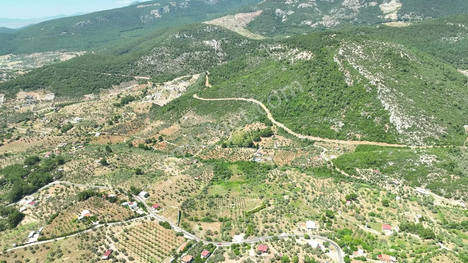 Buca Doğancılarda 5.000 M² Vadi Manzaralı Müstakil Zeytinlik — fotoğraf 3