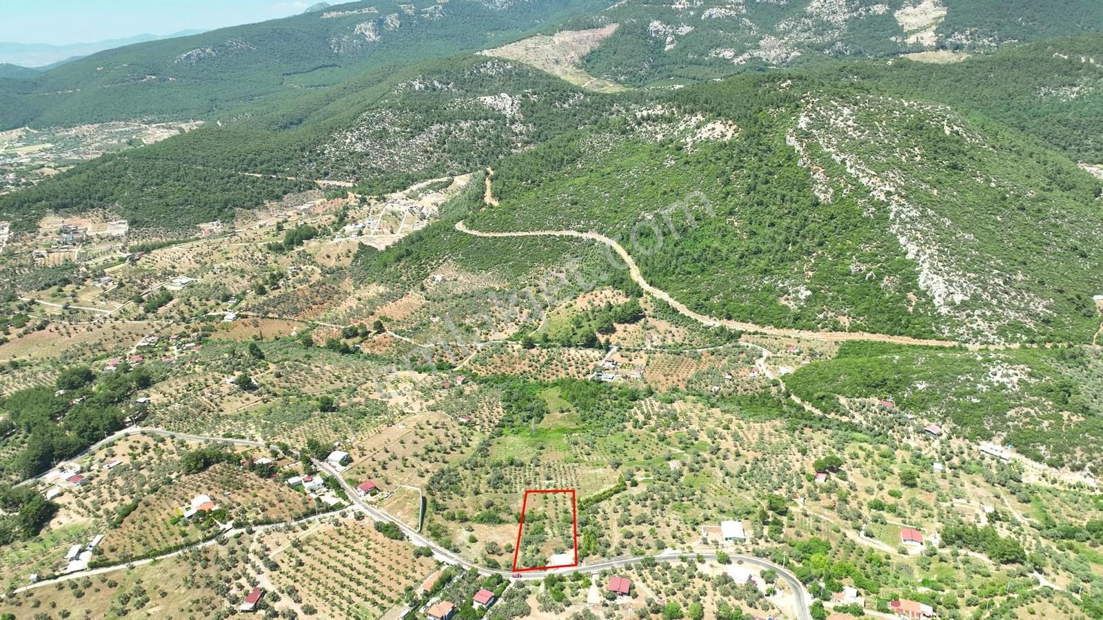 Buca Doğancılarda 5.000 M² Vadi Manzaralı Müstakil Zeytinlik — fotoğraf 4