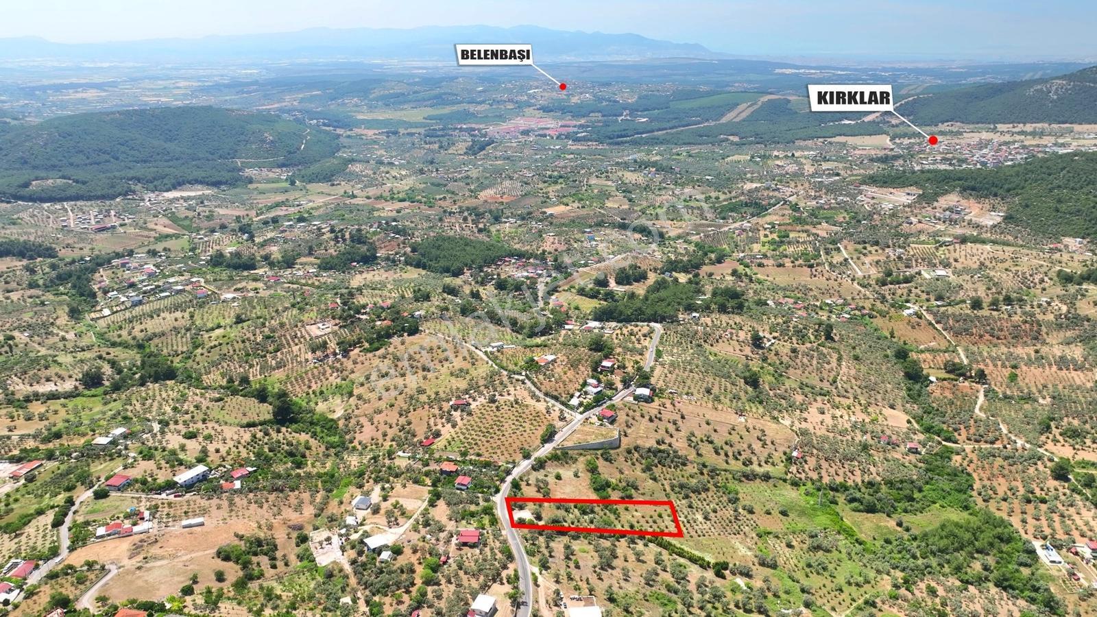 Buca Doğancılarda 5.000 M² Vadi Manzaralı Müstakil Zeytinlik — fotoğraf 6