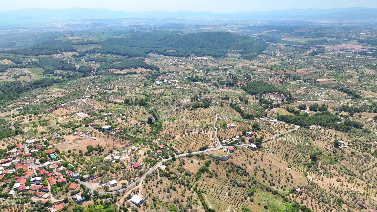 Buca Doğancılarda 5.000 M² Vadi Manzaralı Müstakil Zeytinlik — fotoğraf 7