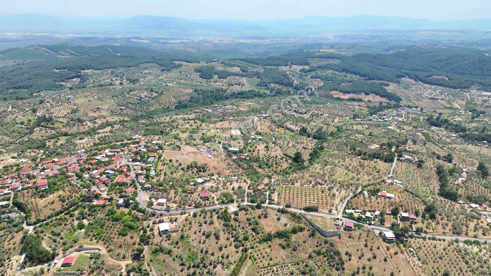 Buca Doğancılarda 5.000 M² Vadi Manzaralı Müstakil Zeytinlik — fotoğraf 9