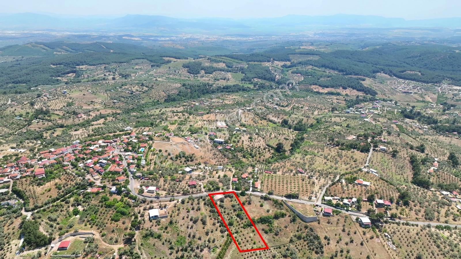 Buca Doğancılarda 5.000 M² Vadi Manzaralı Müstakil Zeytinlik — fotoğraf 10