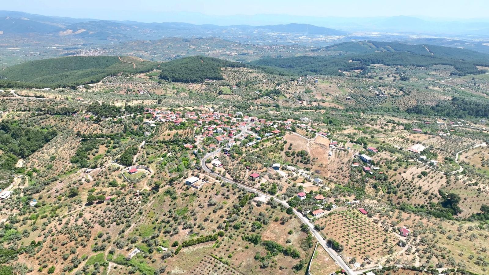 Buca Doğancılarda 5.000 M² Vadi Manzaralı Müstakil Zeytinlik — fotoğraf 11