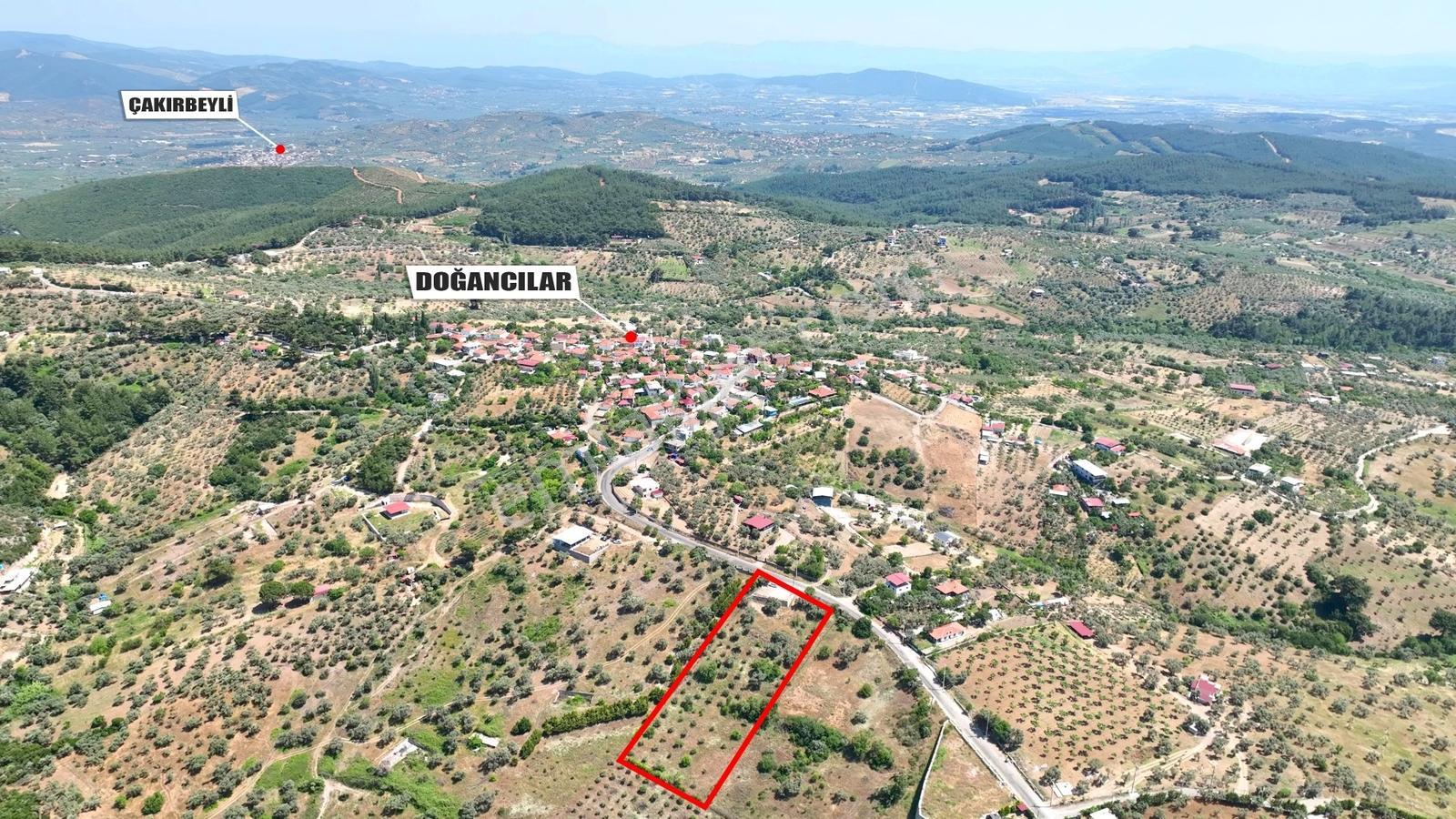 Buca Doğancılarda 5.000 M² Vadi Manzaralı Müstakil Zeytinlik — fotoğraf 12
