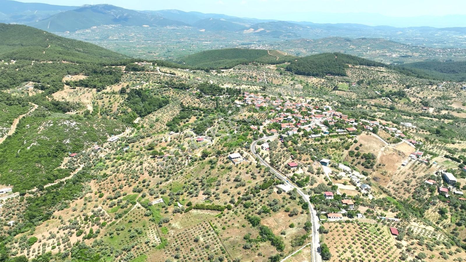 Buca Doğancılarda 5.000 M² Vadi Manzaralı Müstakil Zeytinlik — fotoğraf 13