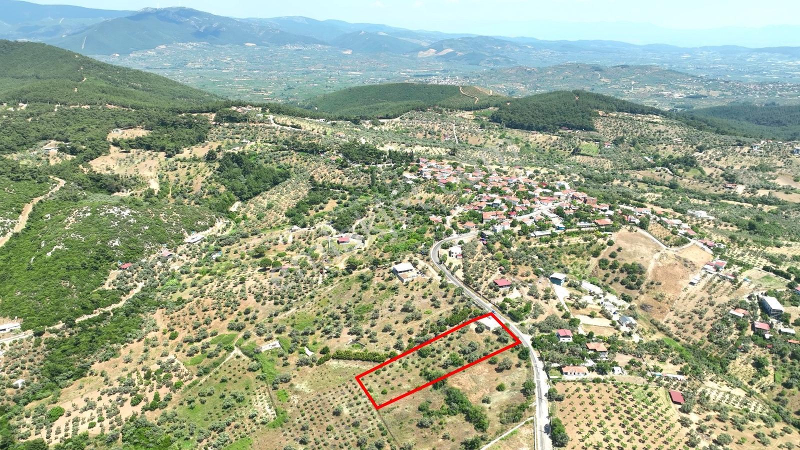 Buca Doğancılarda 5.000 M² Vadi Manzaralı Müstakil Zeytinlik — fotoğraf 14