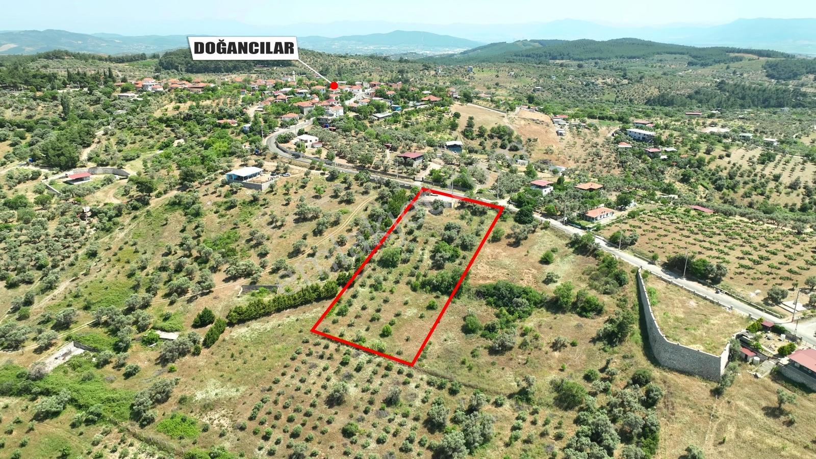 Buca Doğancılarda 5.000 M² Vadi Manzaralı Müstakil Zeytinlik — fotoğraf 16