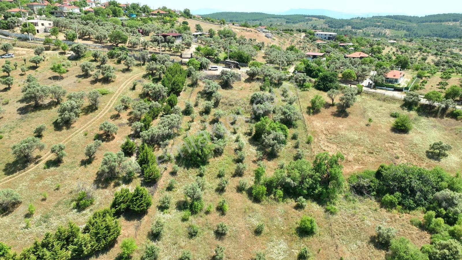 Buca Doğancılarda 5.000 M² Vadi Manzaralı Müstakil Zeytinlik — fotoğraf 19