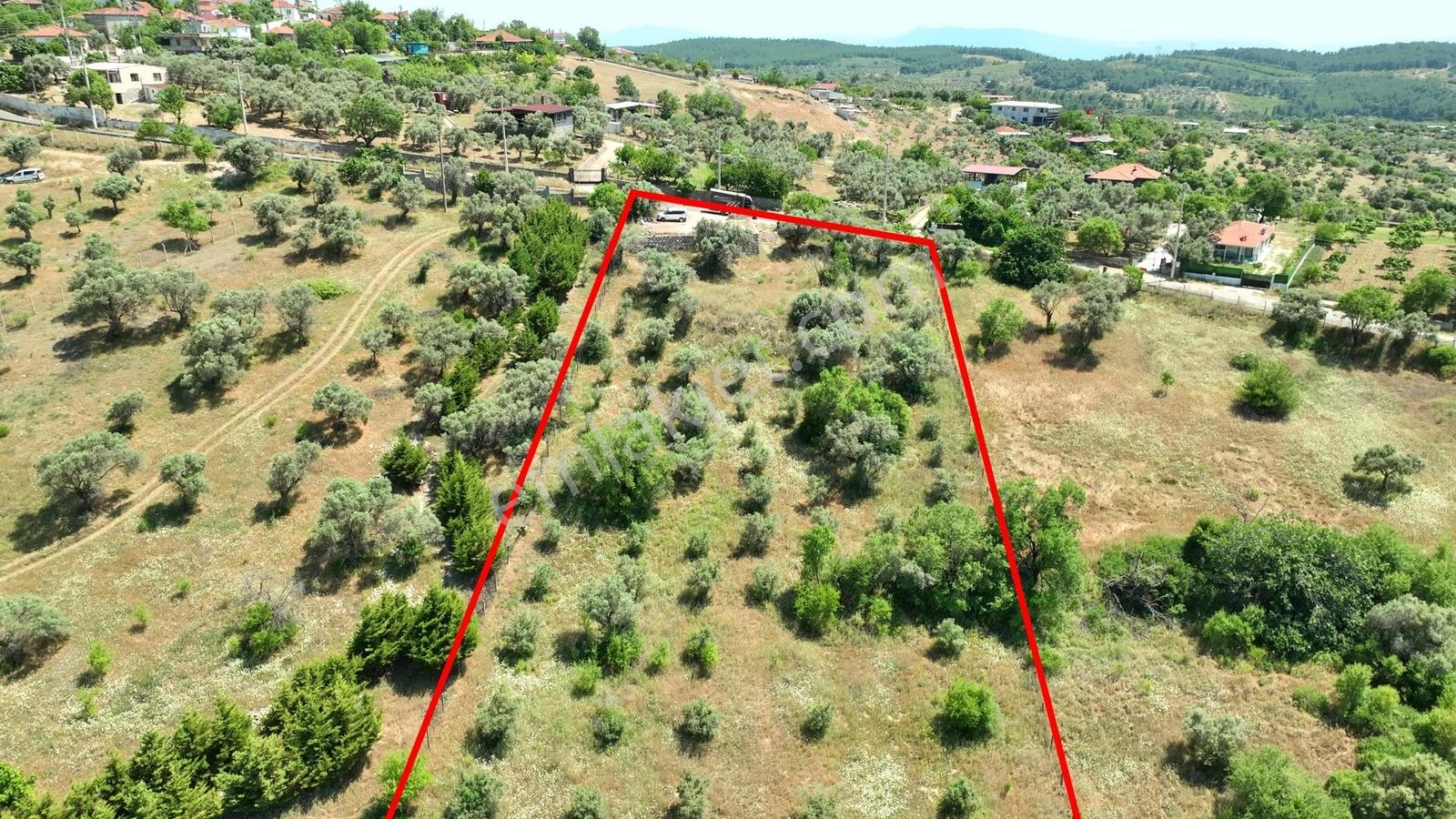 Buca Doğancılarda 5.000 M² Vadi Manzaralı Müstakil Zeytinlik — fotoğraf 20