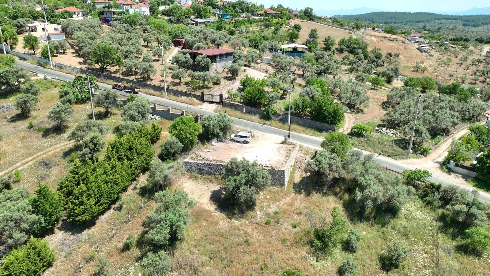 Buca Doğancılarda 5.000 M² Vadi Manzaralı Müstakil Zeytinlik — fotoğraf 21