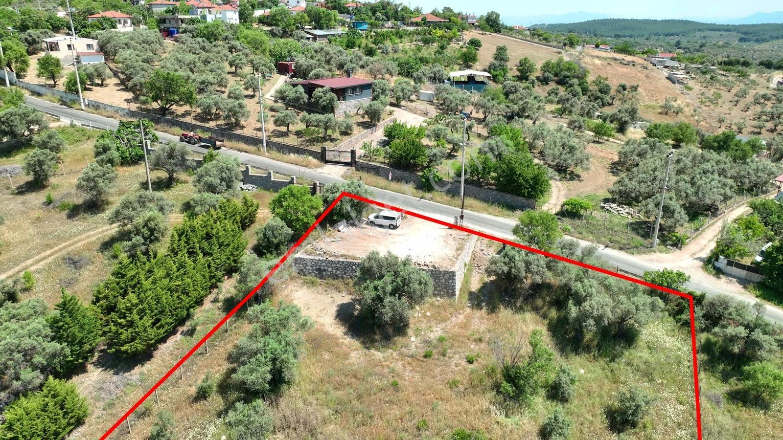 Buca Doğancılarda 5.000 M² Vadi Manzaralı Müstakil Zeytinlik — fotoğraf 22