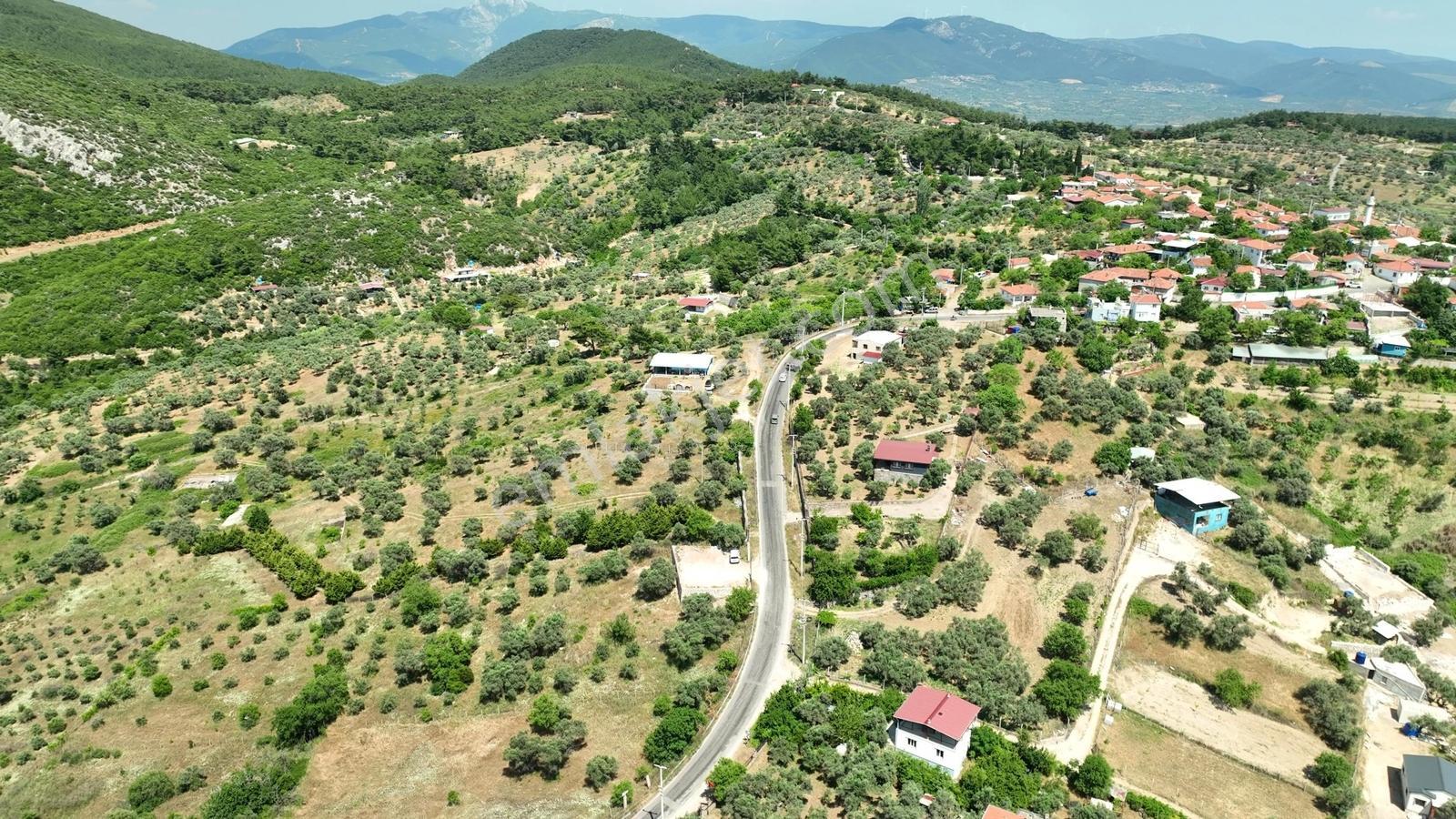 Buca Doğancılarda 5.000 M² Vadi Manzaralı Müstakil Zeytinlik — fotoğraf 23