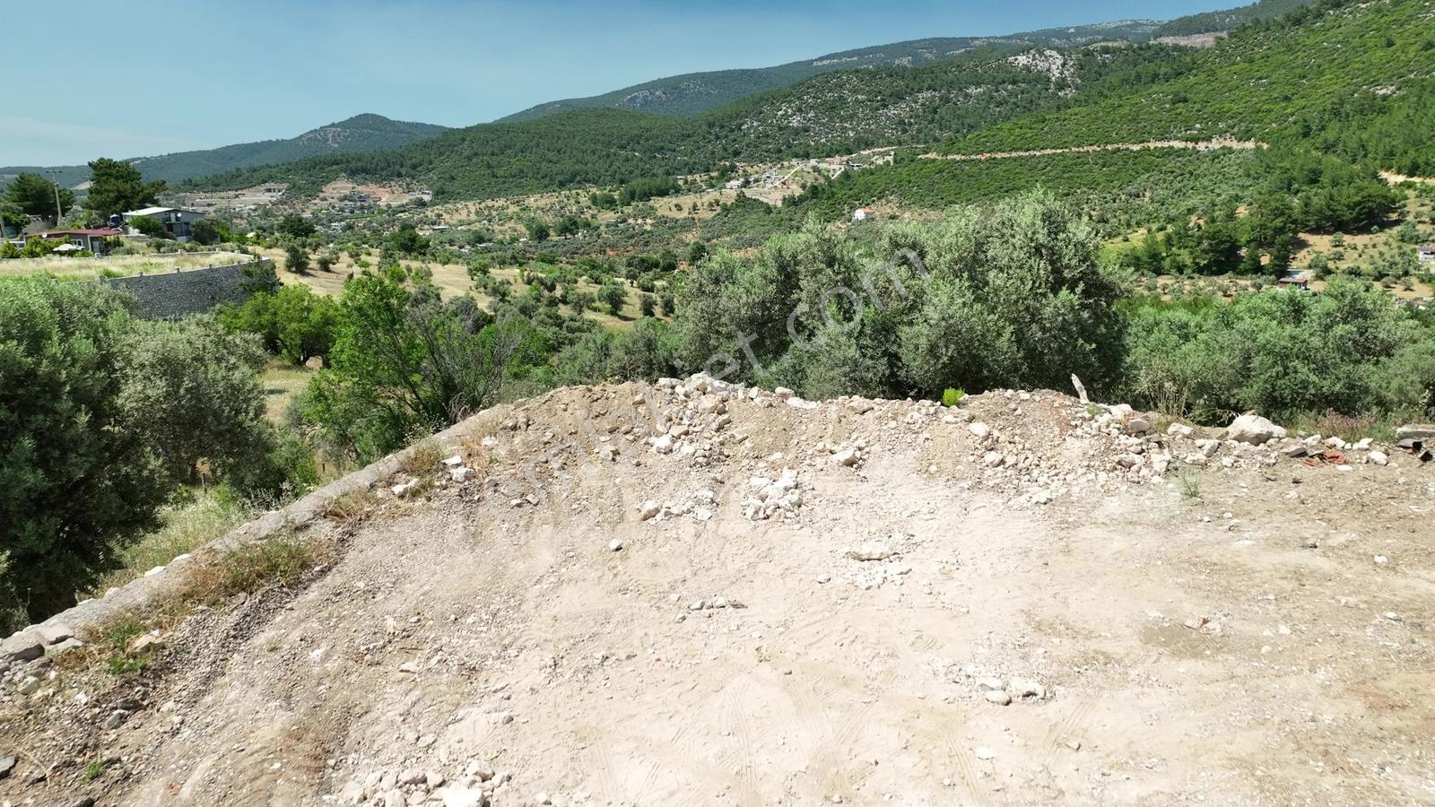 Buca Doğancılarda 5.000 M² Vadi Manzaralı Müstakil Zeytinlik — fotoğraf 28