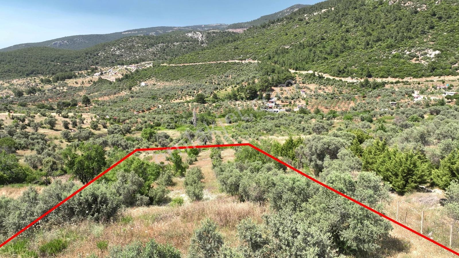 Buca Doğancılarda 5.000 M² Vadi Manzaralı Müstakil Zeytinlik — fotoğraf 30