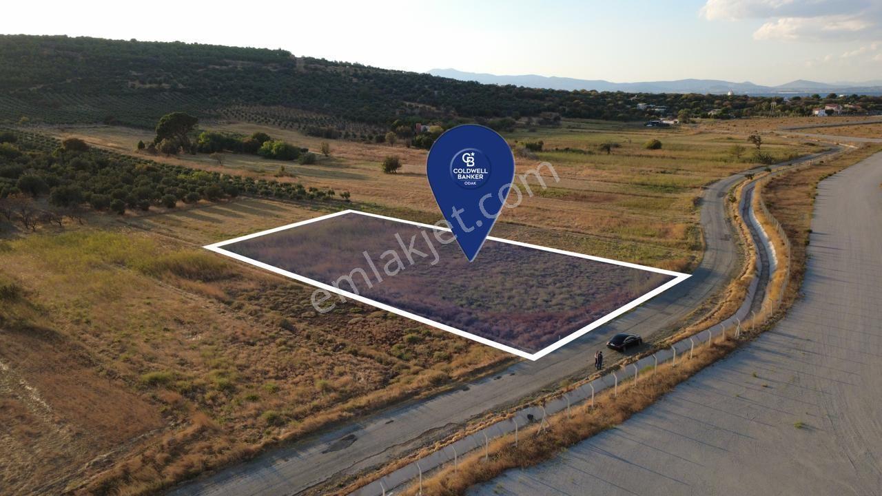 Çaltılıdere Yateke Sıfır 2800m2 Tek Tapu Satılık Tarla