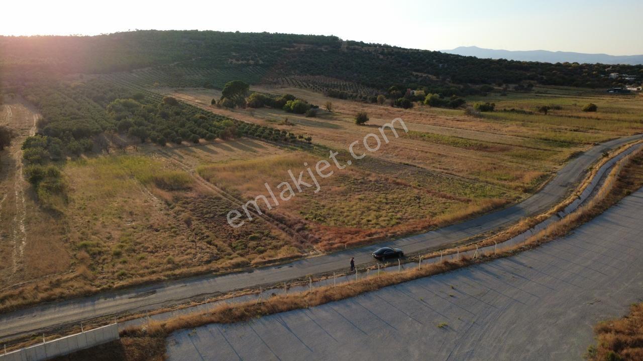 Çaltılıdere Yateke Sıfır 2800m2 Tek Tapu Satılık Tarla — fotoğraf 5