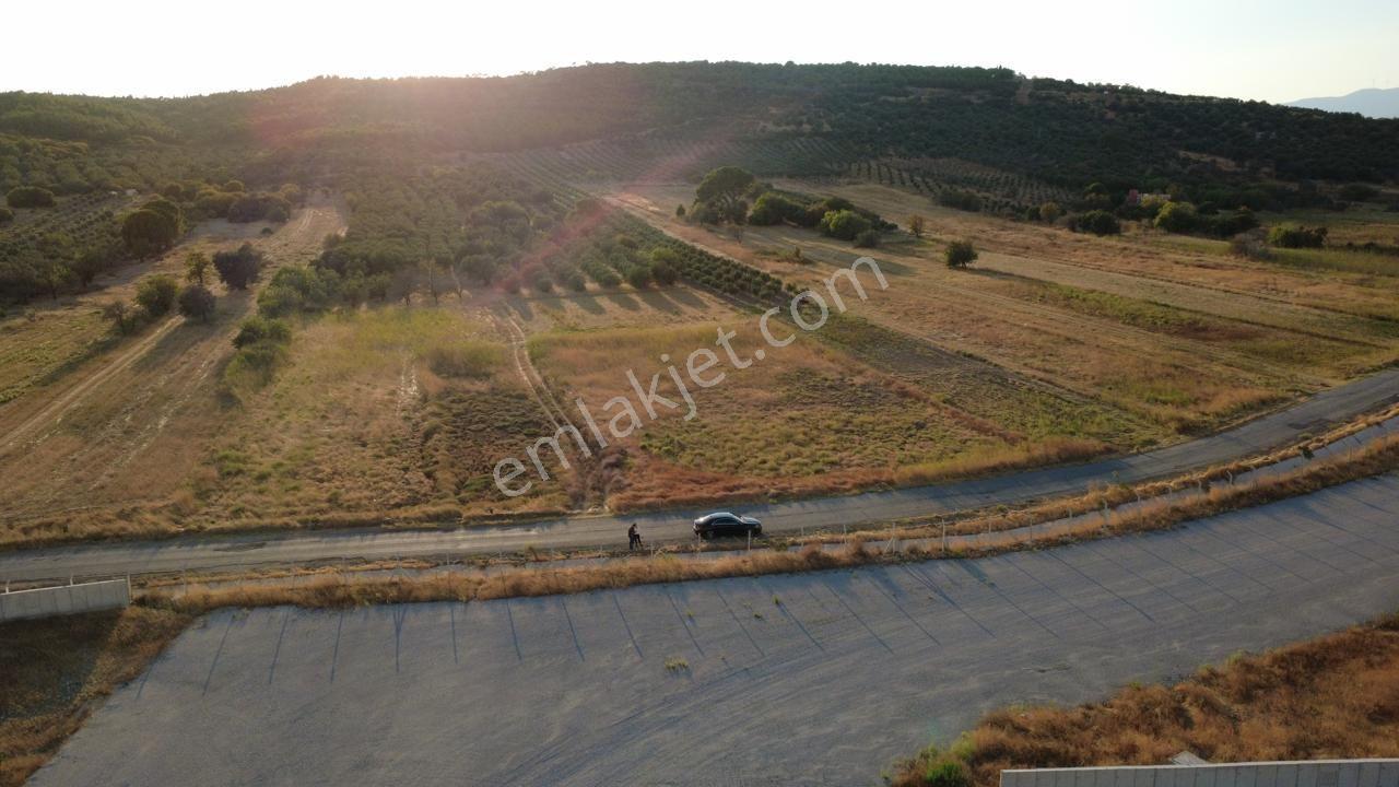 Çaltılıdere Yateke Sıfır 2800m2 Tek Tapu Satılık Tarla — fotoğraf 6