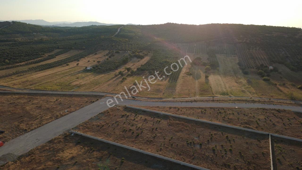 Çaltılıdere Yateke Sıfır 2800m2 Tek Tapu Satılık Tarla — fotoğraf 20