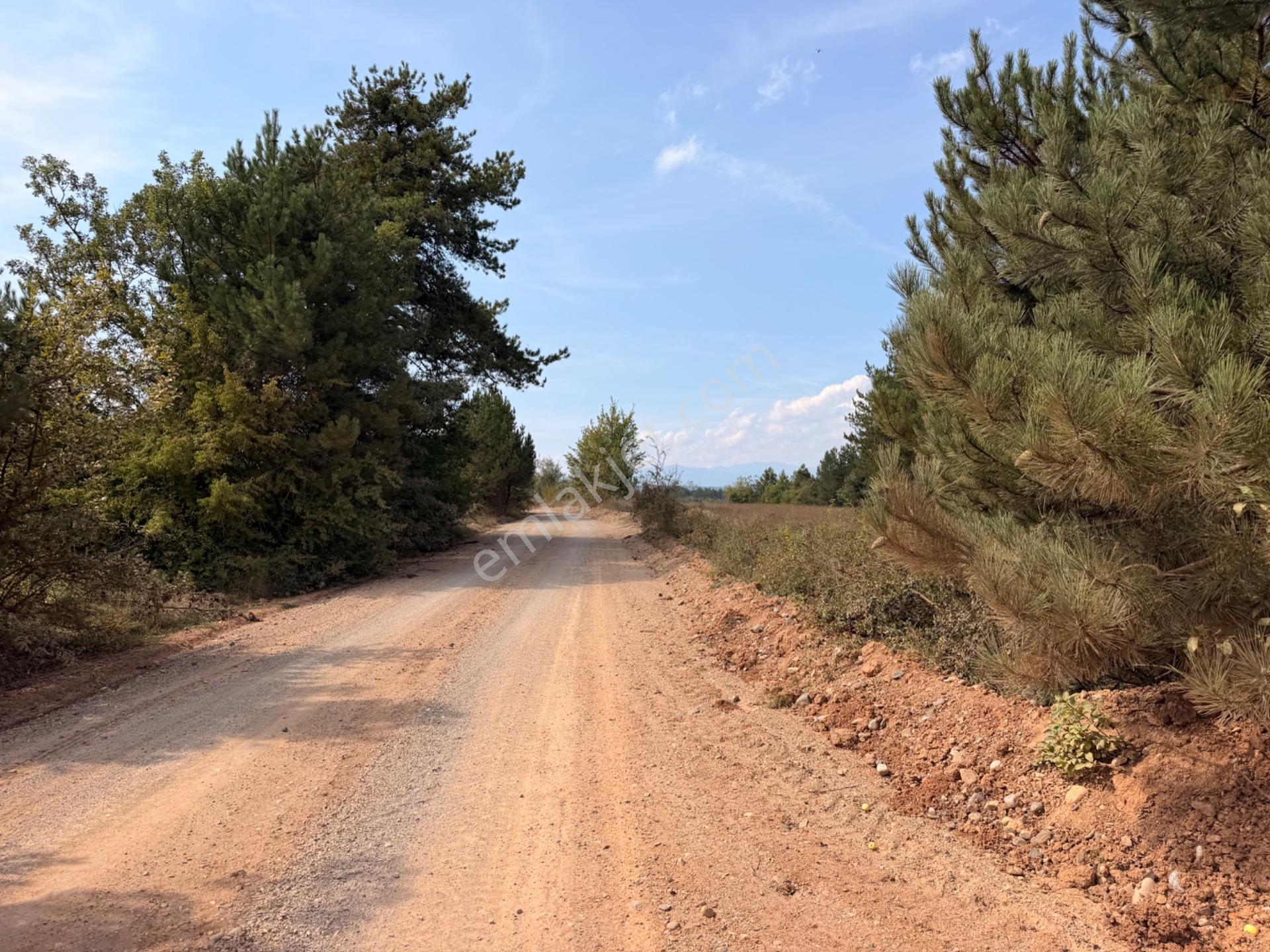 Wisrem Safranboludan Pelıtören Köyünde Satılık Uygun Fiyatlı 5 Dönüm Tarla — fotoğraf 16