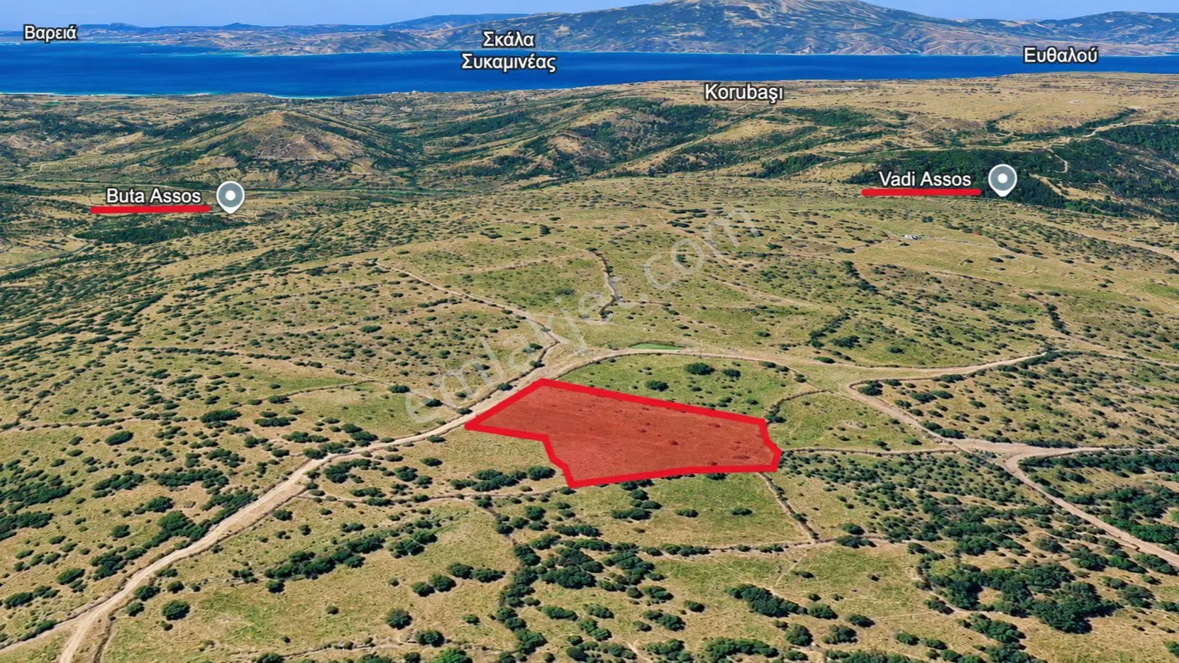 Çanakkale Ayvacık Tamış Köyü 11 Dönüm Satılık Arazi