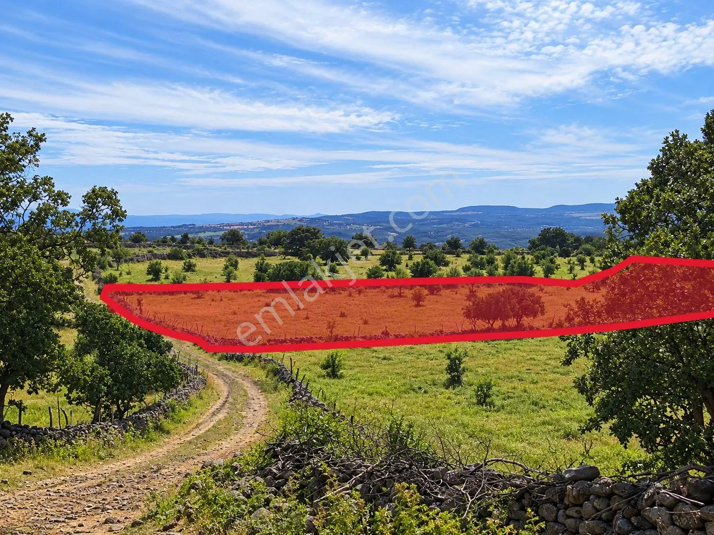 Çanakkale Ayvacık Tamış Köyü 11 Dönüm Satılık Arazi — fotoğraf 4