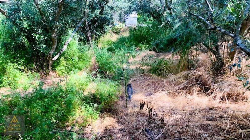 Arsa Şehir Merkeze 5 Dakika Konut İmarı Arsa*aydın Emlak* — fotoğraf 5